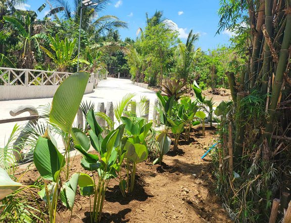 FARM LOT FOR SALE IN BRGY KAYTITINGA ALFONSO CAVITE