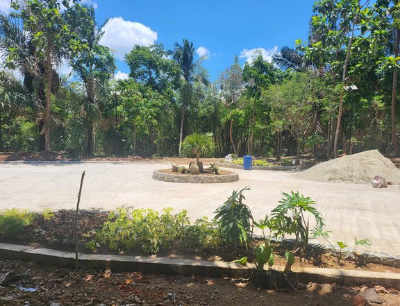 Lot in Cavite near Manila