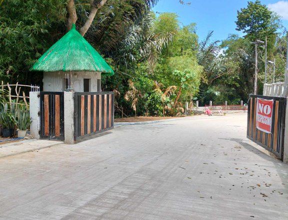 Farm with many fruit bearing trees in Alfonso Cavite