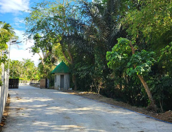 Farm lot for sale in Cavite near the road