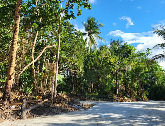 Farm lot for sale Alfonso Cavite