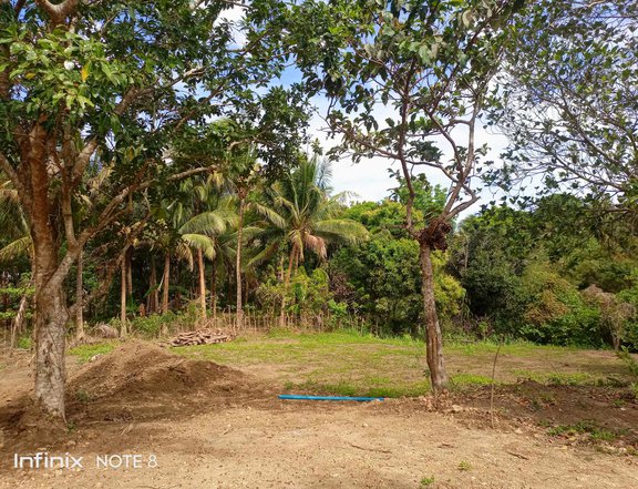 AFFORDABLE FARM LOT FOR SALE IN ALFONSO CAVITE