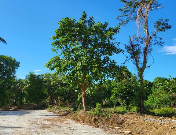 Farm lot for sale 500 sqm in Alfonso Cavite