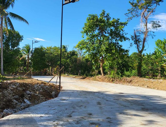 FARM LOT FOR SALE AT BRGY. KAYTITINGA ALFONSO CAVITE