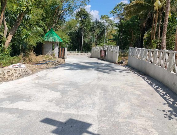 Farm lot for sale in Cavite near TWIN LAKES