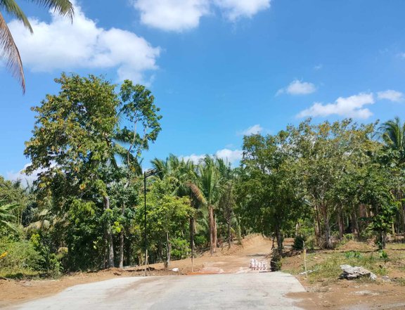 Farm lot for sale in Kaytitinga II Alfonso Cavite