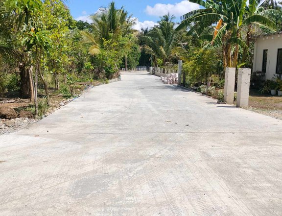 For Sale Lot in Cavite for Retirement Cool weather Good Location