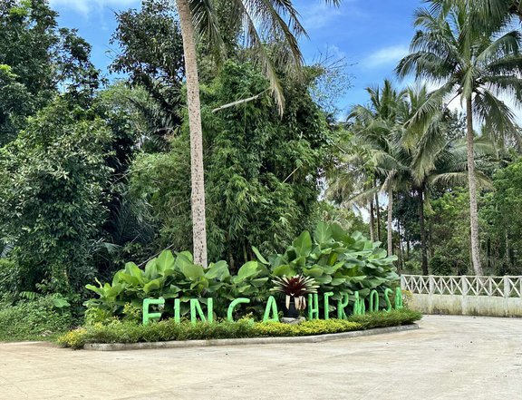 Lot for Farm and Residential land in Alfonso near Sonya's Garden