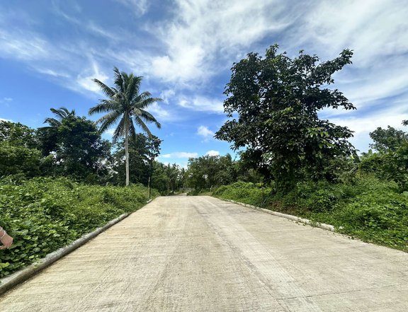 FARM LOT FOR SALE NEAR THE ROAD AND WITH FRUITS BEARING