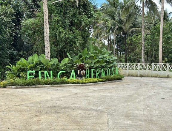 Farm lot for sale near Brgy. Road near Tagaytay.