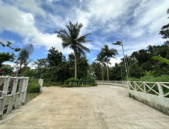 Farm lot -flat land for sale with fruits bearing