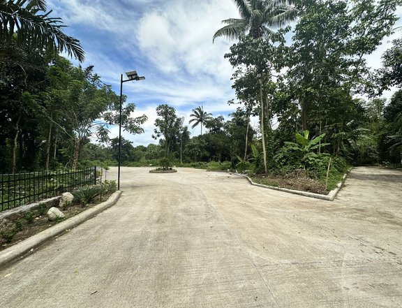 FARM LOT FOR SALE WITH  COOL WEATHER