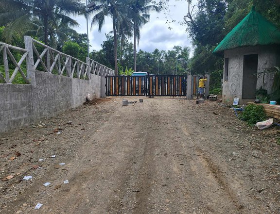 Lot for sale 500sqm in Alfonso Cavite with fruit bearing trees