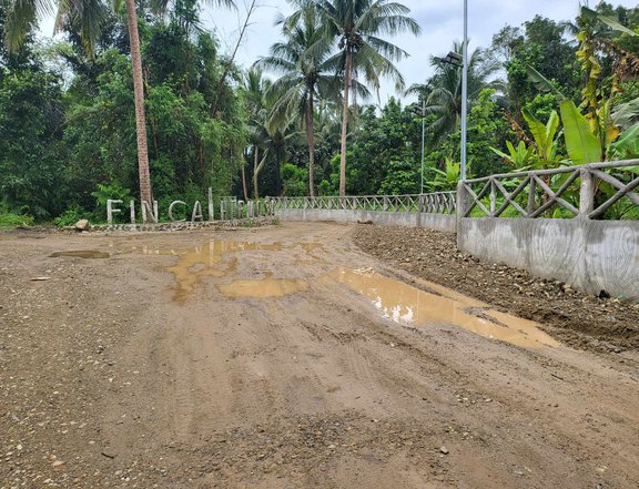 Residential lot 500 sqm gated and cemented road