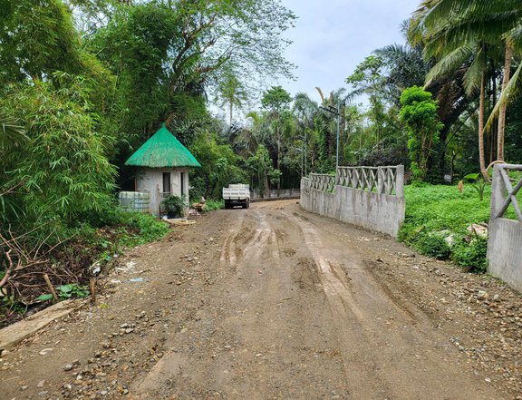 Farm lot for and residential in one 500 sqm for sale