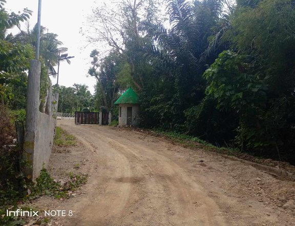 244 sqm Residential Farm For Sale in Alfonso Cavite