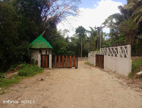 Farm lot good for vacation house and retirement 500 sqm in Cavite sale