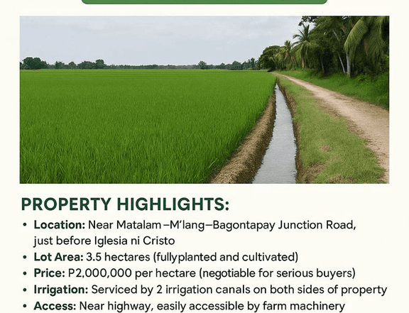 Irrigated 3.5-ha rice field near M'lang, Cotabato with clean title, highway access, and high yield.