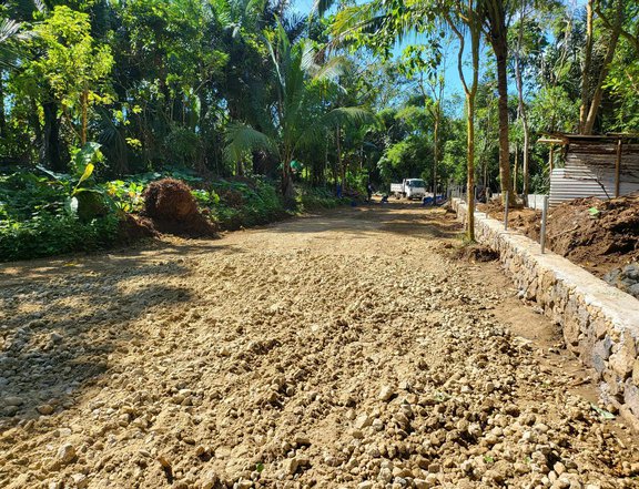 Residential farm lot for sale-800 meters away from Tagaytay road