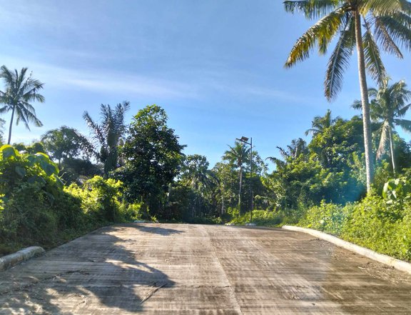 Farm Lot -Perfect for your retirement home-Alfonso Cavite