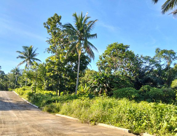 Farm lot near Sonyas Garden