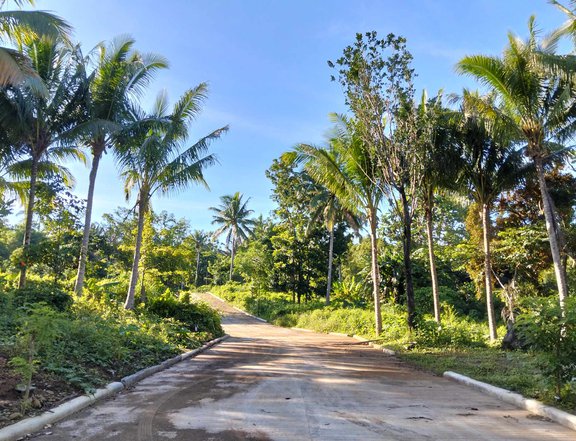 Residential farm lot with fruit bearing and cool weather in Alfonso