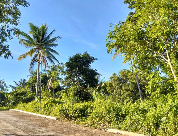 FARM LOT FOR SALE ALFONSO CAVITE NEAR TWIN LAKES