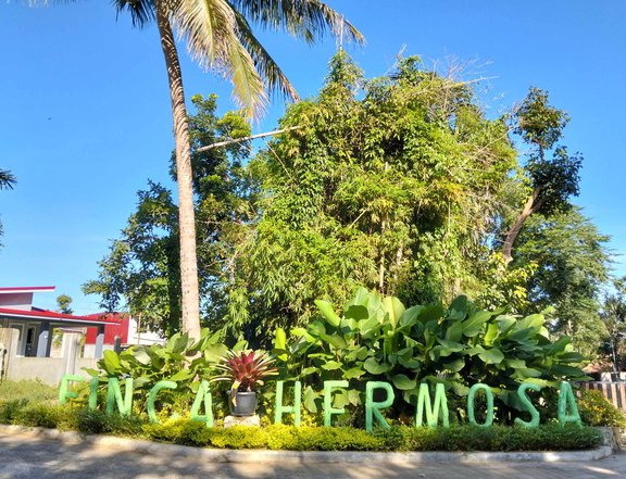 Farm Lot with many fruit bearing trees