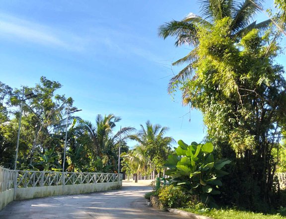 Farm lot in Alfonso Cavite near Twin Lakes Tagaytay