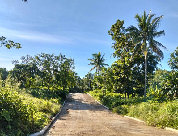 FARM LOT FOR SALE WITH FRUIT BEARING TREES NEAR TAGAYTAY