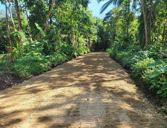 Affordable Farm  lot for Sale in Alfonso Cavite