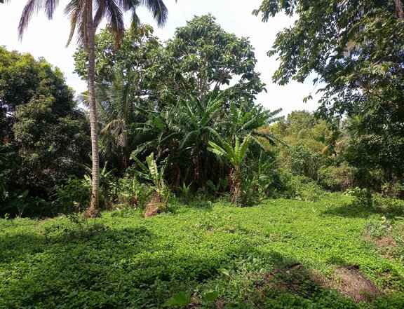 Farm lot-land for sale in Alfonso Cavite