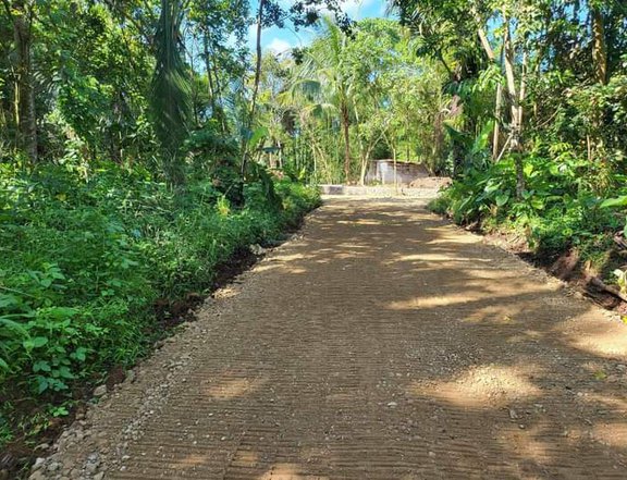 Farm lot for sale with cool weather