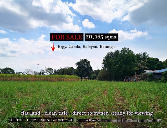 21 hectares Land For Sale in Balayan Batangas CLEAN TITLE Negotiable