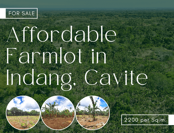 Affordable Farm Lot for Sale in Indang, Cavite!