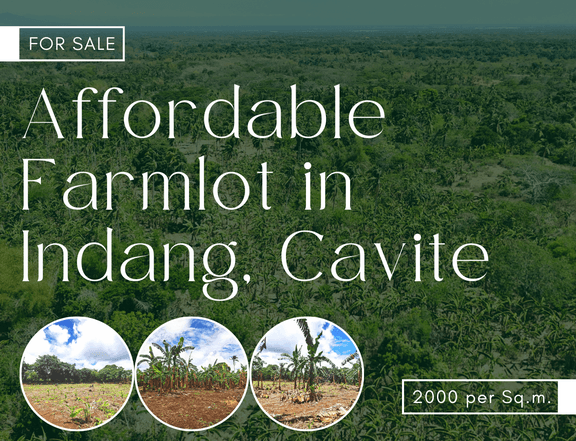 Promo! Promo! 1000sq.m. Farm Lot for Sale in Indang, Cavite!