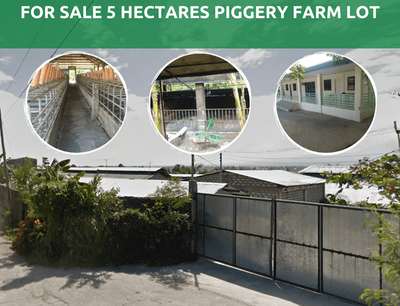 5 hectares Piggery Farm Lot For Sale in Bataan