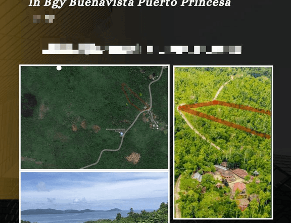 23,047 sqm Overlooking Sea View Property  Your Ideal Oasis in Puerto Princesa!