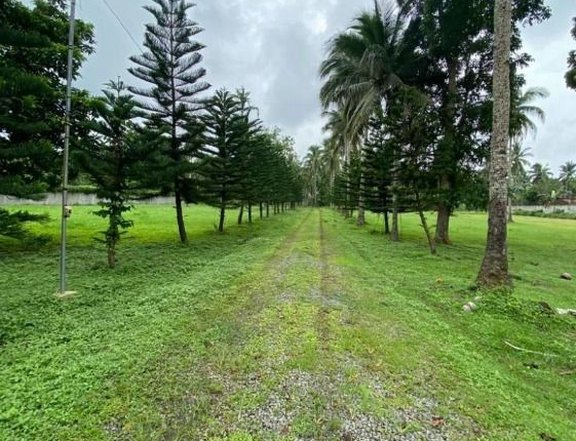 FOR SALE: Lumbang, Lipa City, Batangas Province, Agricultural Lot