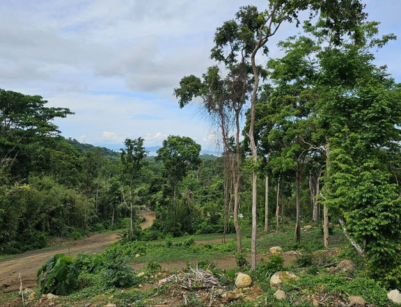 1,107 sqm Residential Lot For Sale in Tanay Rizal
