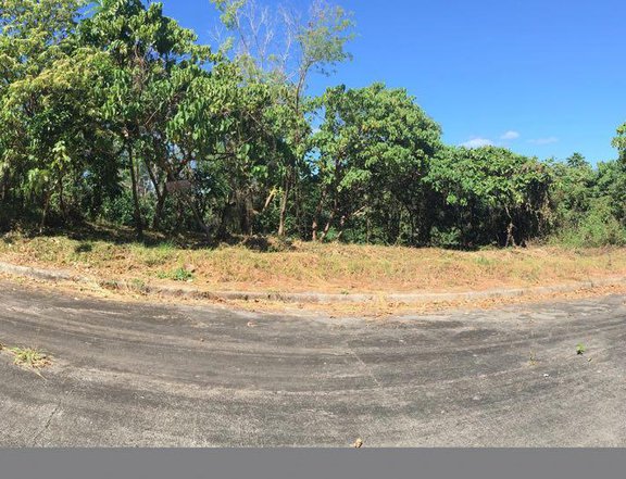Residential Lot For Sale in Antipolo Rizal Forest Hills Eastland