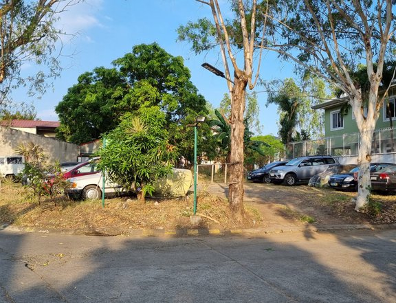 555 sqm Residential (Corner) Lot for Sale at BF Homes, Paranaque City