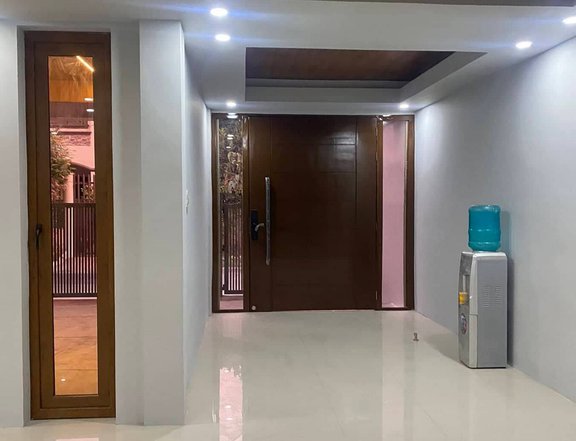 Brand enw House for Sale in Better Living Subd Don Bosco Paranaque City