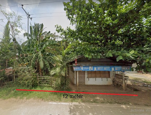 3774 sqm Residential/Farm Lot For Sale in Brgy. Bayanga