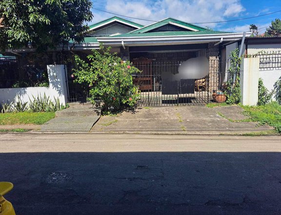 For Sale Old House & Lot Sunvalley subdivision, PARANAQUE