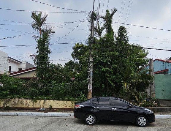 540 sqm Residential Lot for Sale Ideal Subdivision  Quezon city