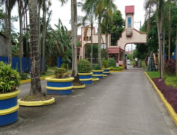 132 sq meters residential lot for Sale in pacific Parkplace Villace located Dasmarinas, Cavite