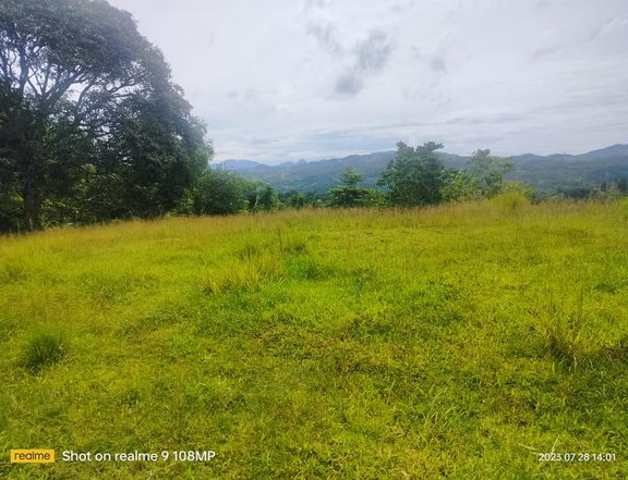 Lot for sale overlooking and flat terrain at Guba Cebu City 2.5m nego
