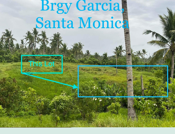 1000 sqm Overlooking Lot for sale Garcia, Sta. Monica, Siargao