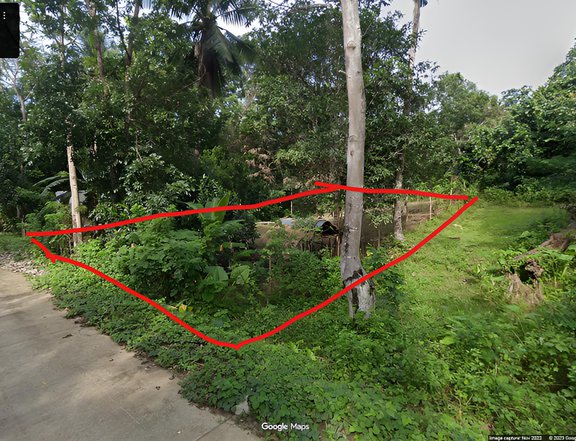 600 m vacant land for rush sale, titled and ready for development in Barangay Luzviminda.